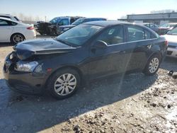 Salvage cars for sale at Wayland, MI auction: 2011 Chevrolet Cruze LS