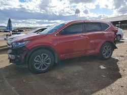 Salvage cars for sale from Copart -no: 2022 Honda CR-V EX