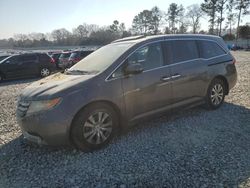 Salvage cars for sale at Byron, GA auction: 2014 Honda Odyssey EXL