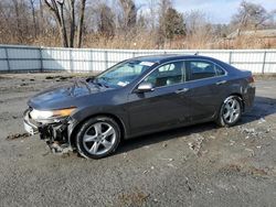 Salvage cars for sale at Albany, NY auction: 2009 Acura TSX
