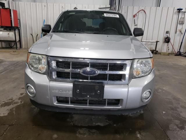 2009 Ford Escape XLT