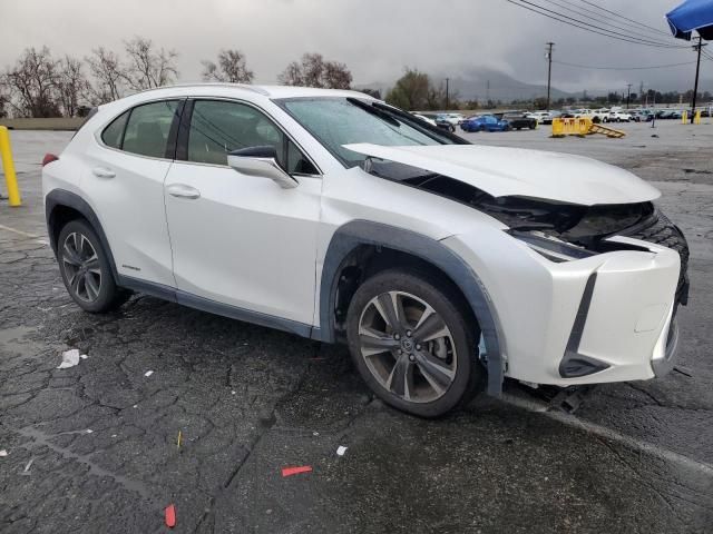 2019 Lexus UX 250H