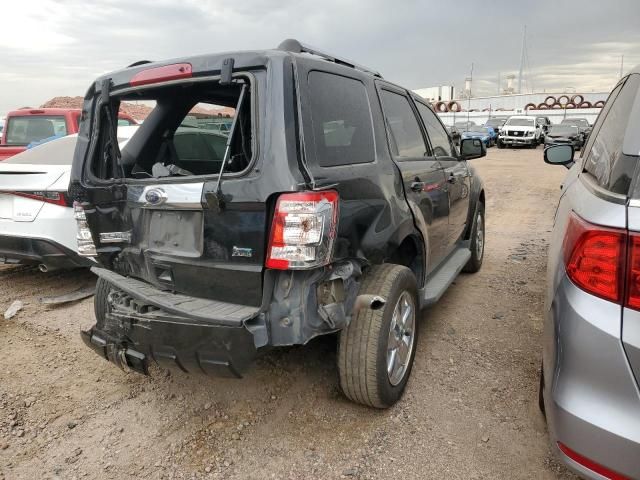 2010 Ford Escape Limited