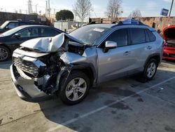 Toyota Rav4 XLE salvage cars for sale: 2019 Toyota Rav4 XLE