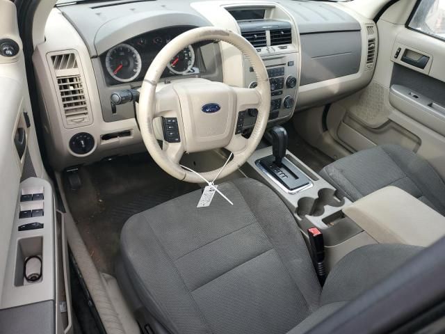 2010 Ford Escape XLT