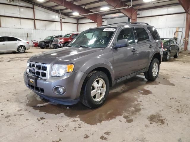 2012 Ford Escape XLT