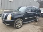 2007 Cadillac Escalade Luxury