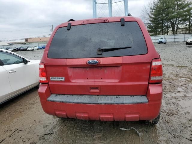 2010 Ford Escape XLT