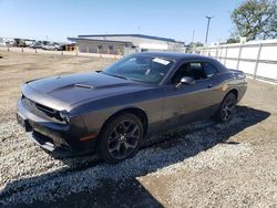 Dodge Challenger salvage cars for sale: 2019 Dodge Challenger SXT