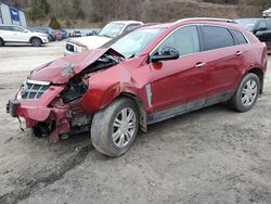 Cadillac SRX Vehiculos salvage en venta: 2012 Cadillac SRX Luxury Collection