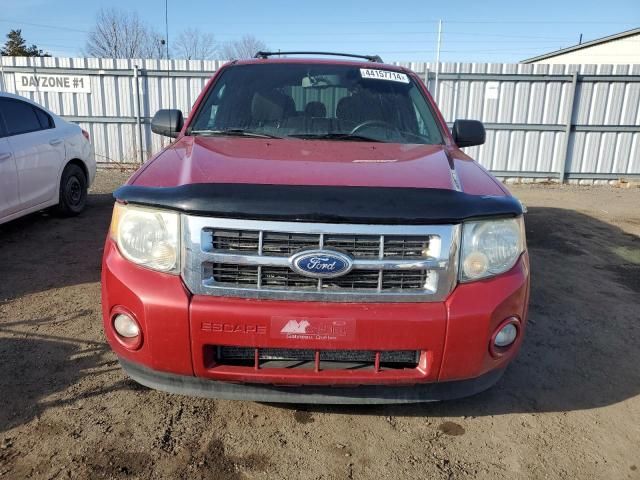 2010 Ford Escape XLT