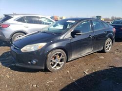 Salvage cars for sale at Columbus, OH auction: 2013 Ford Focus SE