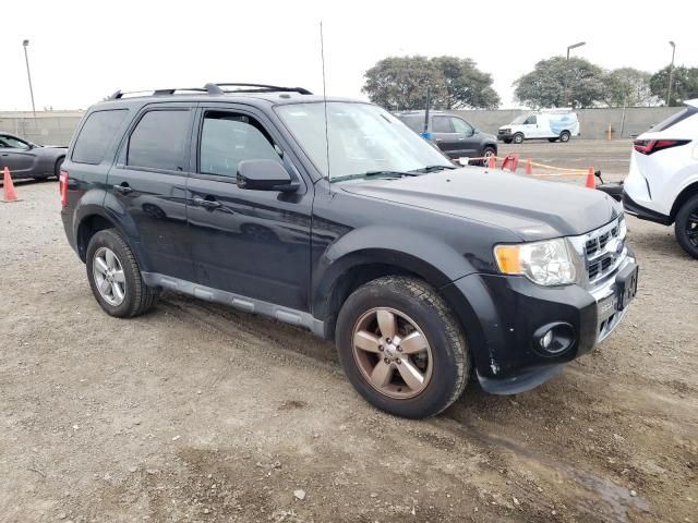 2011 Ford Escape Limited