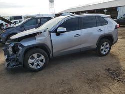 Salvage cars for sale at Phoenix, AZ auction: 2019 Toyota Rav4 XLE