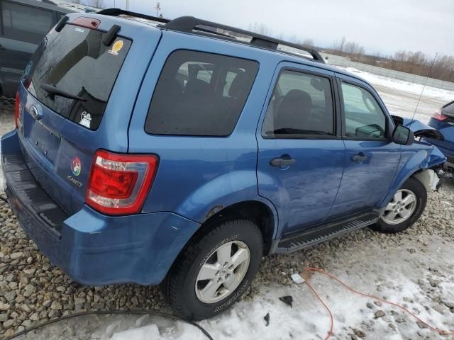 2009 Ford Escape XLT