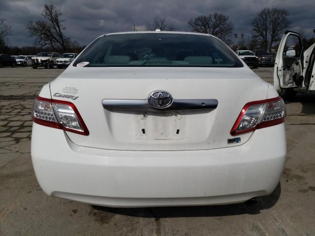 2010 Toyota Camry Hybrid