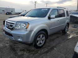 Honda Pilot salvage cars for sale: 2010 Honda Pilot EXL