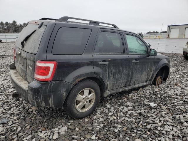 2010 Ford Escape XLT