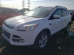 Salvage cars for sale from Copart Elgin, IL: 2014 Ford Escape SE