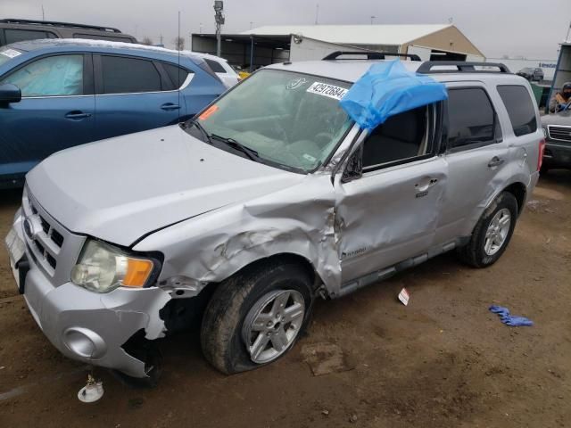 2010 Ford Escape Hybrid