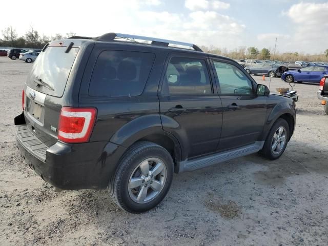 2010 Ford Escape Limited