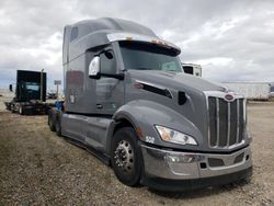 Vehiculos salvage en venta de Copart Farr West, UT: 2023 Peterbilt 579