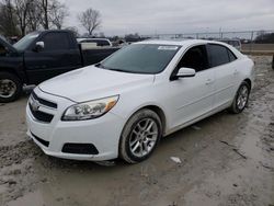 Salvage cars for sale from Copart Cicero, IN: 2013 Chevrolet Malibu 1LT