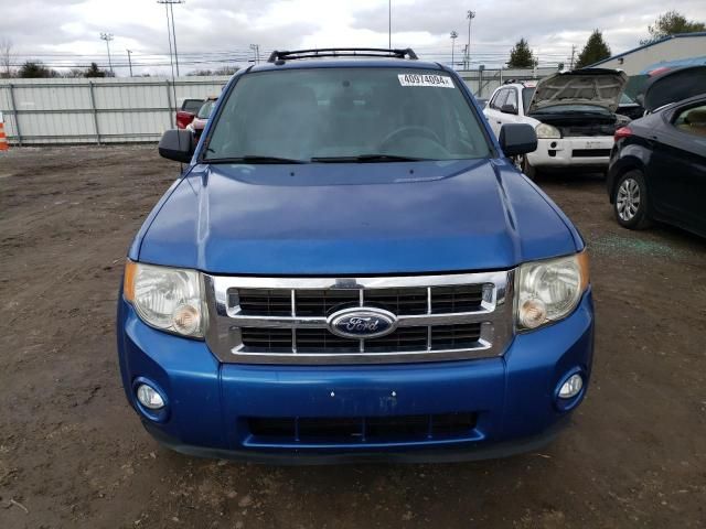 2012 Ford Escape XLT