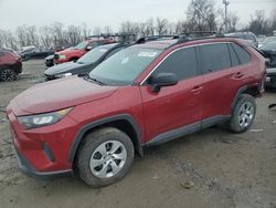 Salvage cars for sale at Baltimore, MD auction: 2021 Toyota Rav4 LE