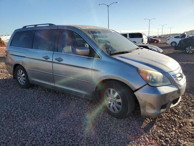 2008 Honda Odyssey EXL