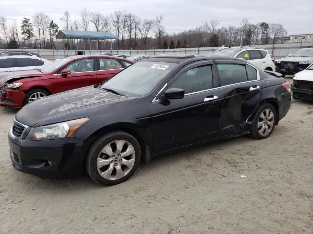 2010 Honda Accord EXL