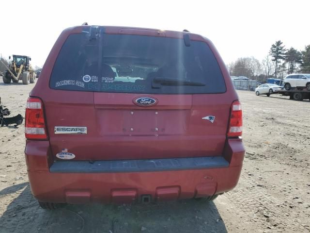 2008 Ford Escape XLT