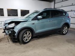 Salvage cars for sale at Ham Lake, MN auction: 2013 Ford Escape SE