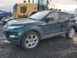 Land Rover salvage cars for sale: 2013 Land Rover Range Rover Evoque Pure Plus