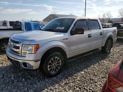 Vehiculos salvage en venta de Copart Louisville, KY: 2014 Ford F150 Supercrew