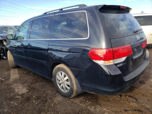 2008 Honda Odyssey EXL