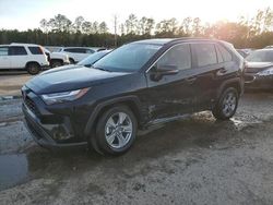 Toyota Rav4 salvage cars for sale: 2022 Toyota Rav4 XLE