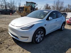Salvage cars for sale at auction: 2021 Tesla Model Y