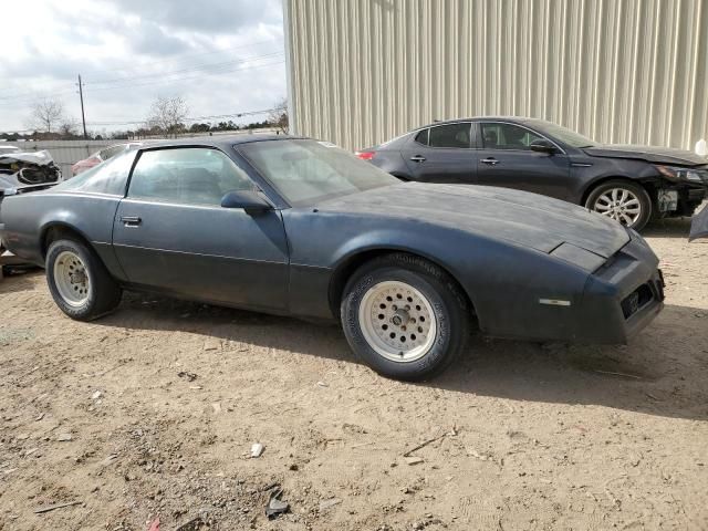 1982 Pontiac Firebird SE