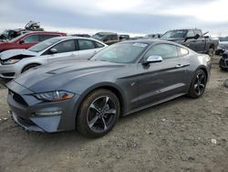 Salvage cars for sale at Earlington, KY auction: 2021 Ford Mustang