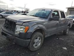 Salvage cars for sale at Eugene, OR auction: 2013 Ford F150 Supercrew
