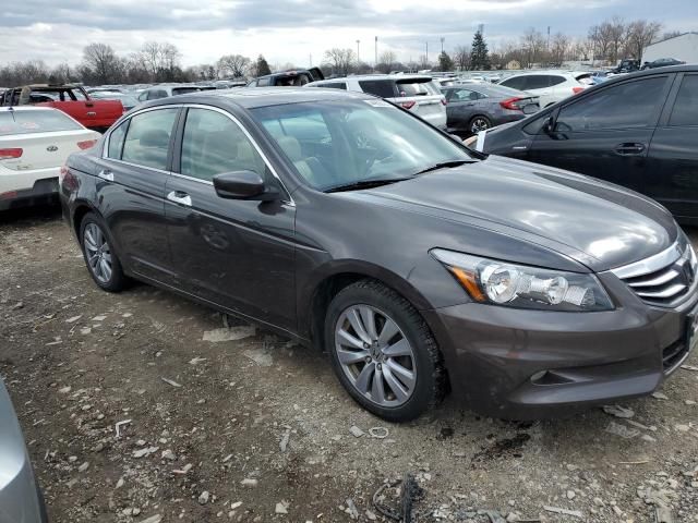 2011 Honda Accord EXL