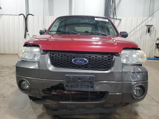 2005 Ford Escape XLT