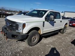 Ford salvage cars for sale: 2019 Ford F250 Super Duty