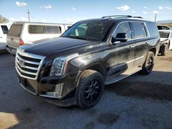 Vehiculos salvage en venta de Copart Tucson, AZ: 2017 Cadillac Escalade