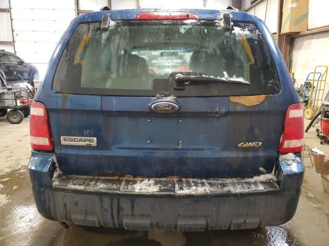 2008 Ford Escape XLT