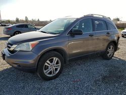 Salvage cars for sale from Copart Mentone, CA: 2011 Honda CR-V EX