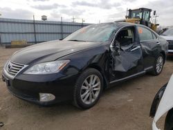 Salvage cars for sale at Chicago Heights, IL auction: 2012 Lexus ES 350