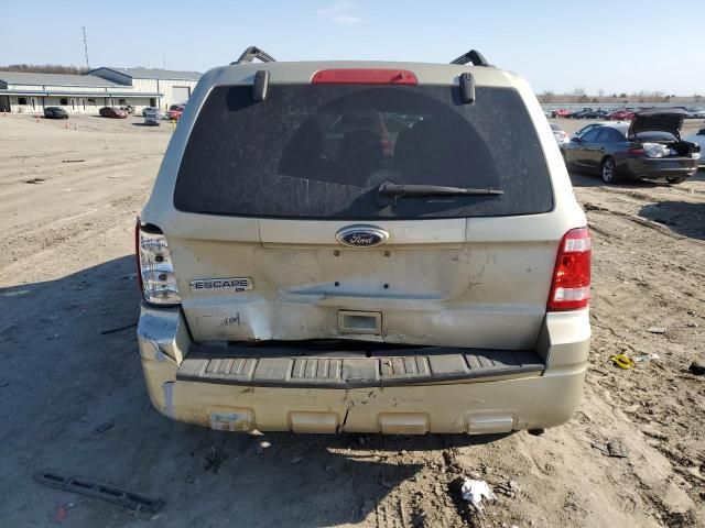 2010 Ford Escape XLT