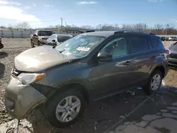 Salvage cars for sale from Copart Louisville, KY: 2013 Toyota Rav4 LE